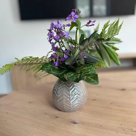 House Vida * Zadvarje